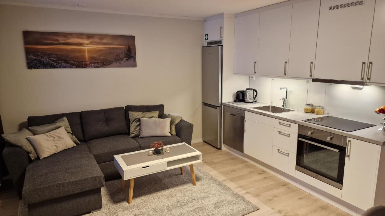 Haugetuft Apartments Amot  Kültér fotó